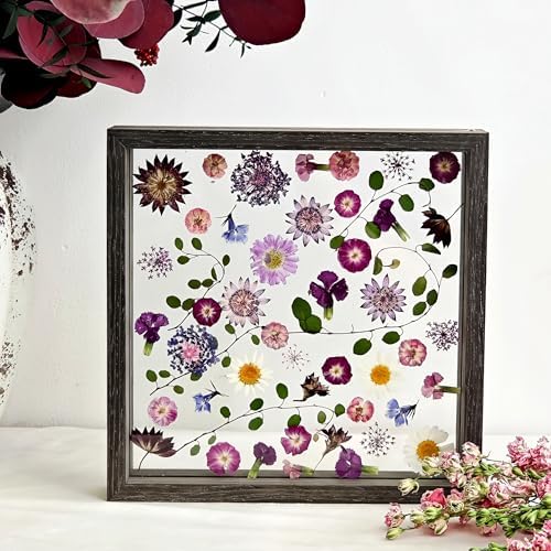 Pressed Flower Frame 85x85 Inch Handcrafted Wooden Double Glass with Real Wildflowers Purple