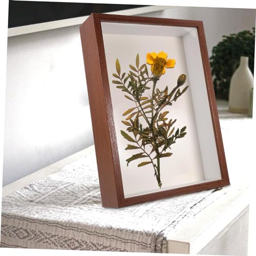 Wooden Dried Flower Display Frame with Transparent Window