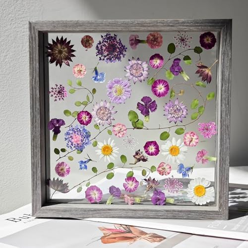 Pressed Flower Frame 85x85 Inch Handcrafted Wooden Double Glass with Real Wildflowers Purple