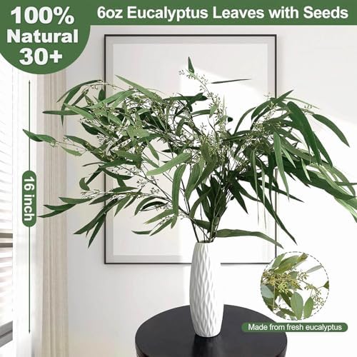 30 Pcs Natural Dried Seeded Eucalyptus Stems for Decor