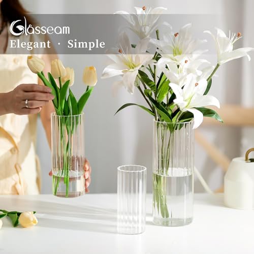 Glasseam Clear Hurricane Candle Holder Set of 6