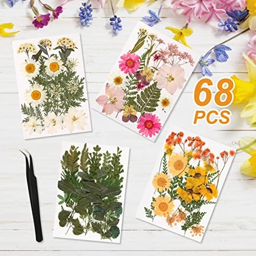 Double Glass Frame for Pressed Flowers with Real Dried Flowers and Tweezer