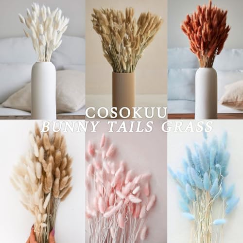 COSOKUU 100pcs Dried Bunny Tails Grass Decor