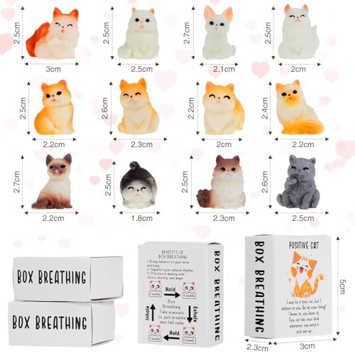 24 Piece Positive Cat Gift Set with Boxes