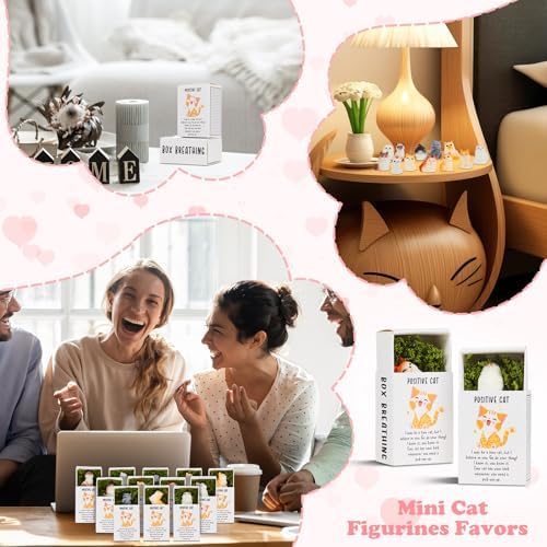 24 Piece Positive Cat Gift Set with Boxes
