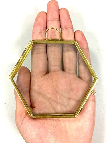 NCYP Mini Glass Floating Frame for Dried Flowers and Photos