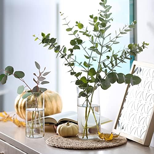 WDHODEC Cylinder Flower Vases 12PCS Hurricane Candle Holders Clear Glass Vase Set