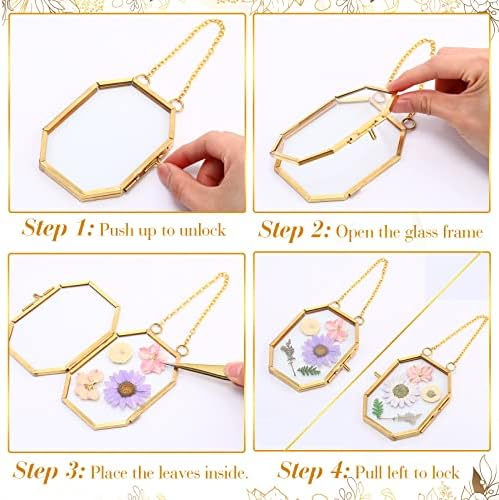 Marsui 6-Pack Double Glass Frame for Pressed Flowers