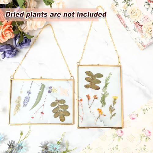 Barydat 12 Pack Pressed Flowers Glass Frames Gold Brass Hanging Display
