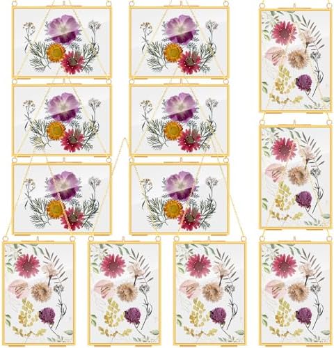 Barydat 12 Pack Pressed Flowers Glass Frames Gold Brass Hanging Display