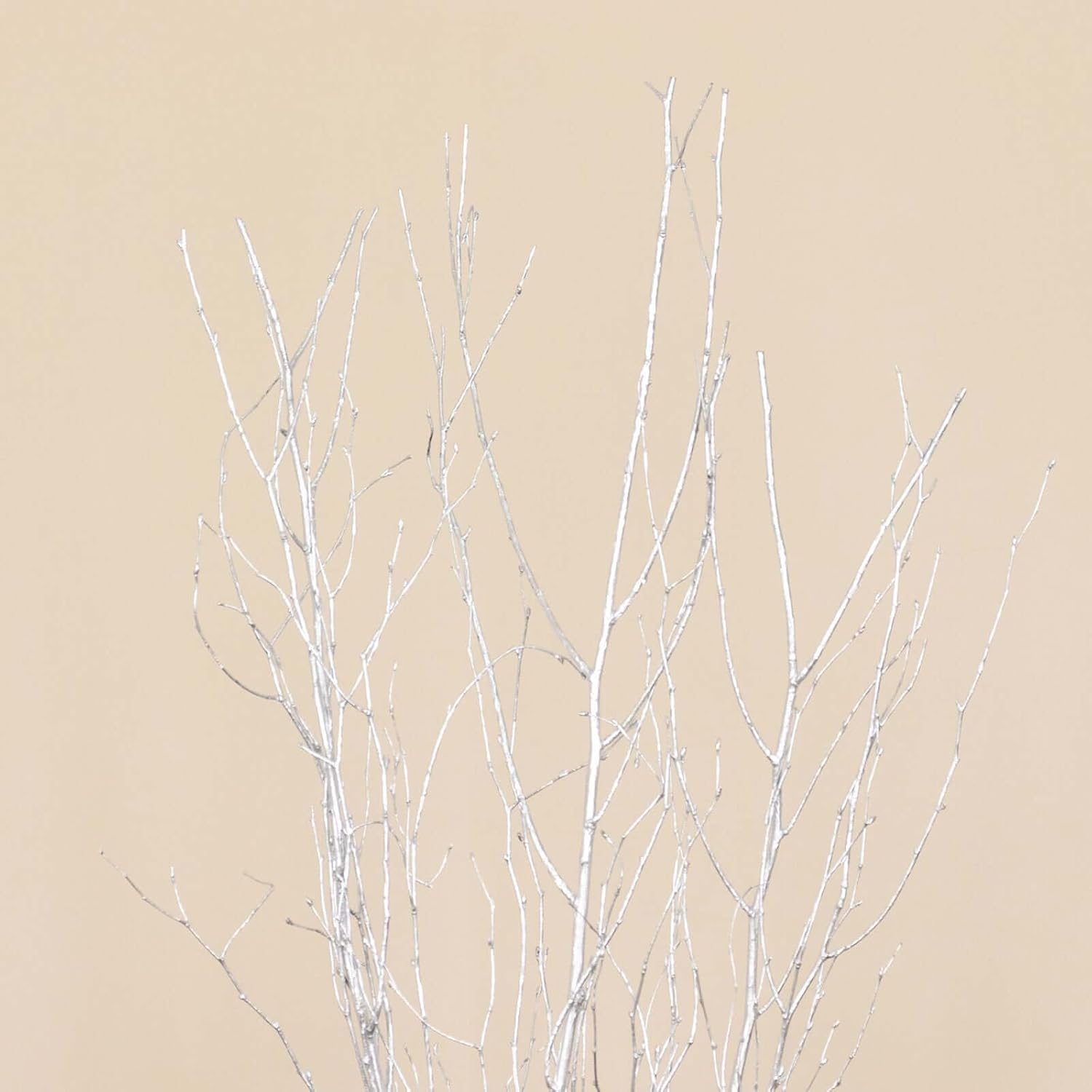 Efavormart 6 Pack Metallic Silver Birch Tree Vase Fillers