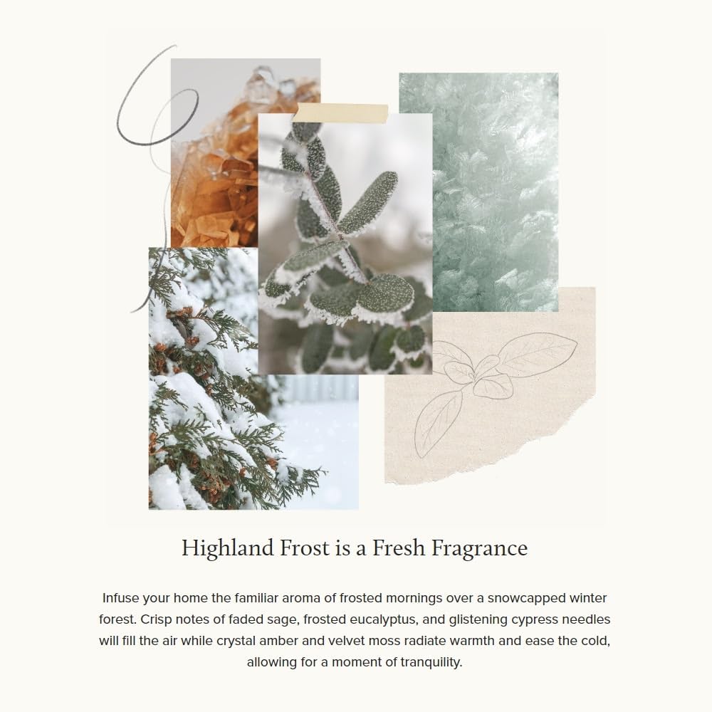 Thymes Travel Tin Holiday Candles - Highland Frost 25 oz