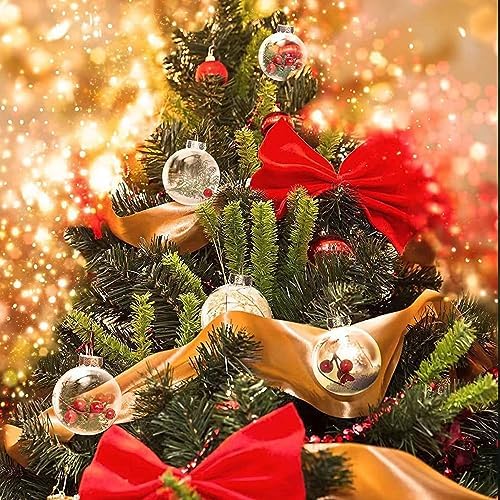 10 Pack Clear Plastic Decorative Balls with Silver Rope