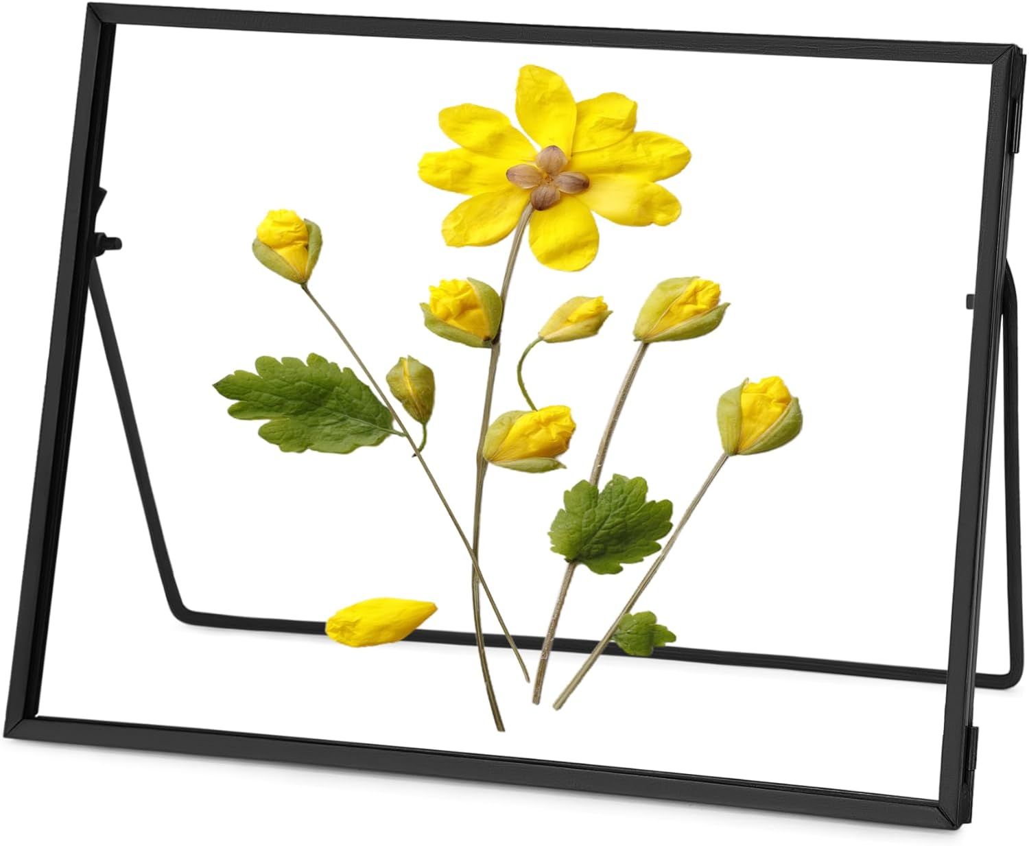 Handmade Brass Glass Frame for Dried Flowers and Photos