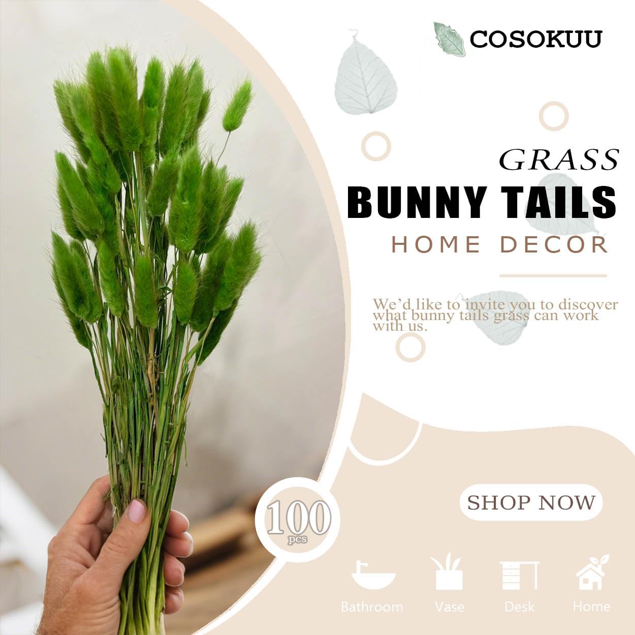 COSOKUU 100pcs Dried Bunny Tails Grass Decor