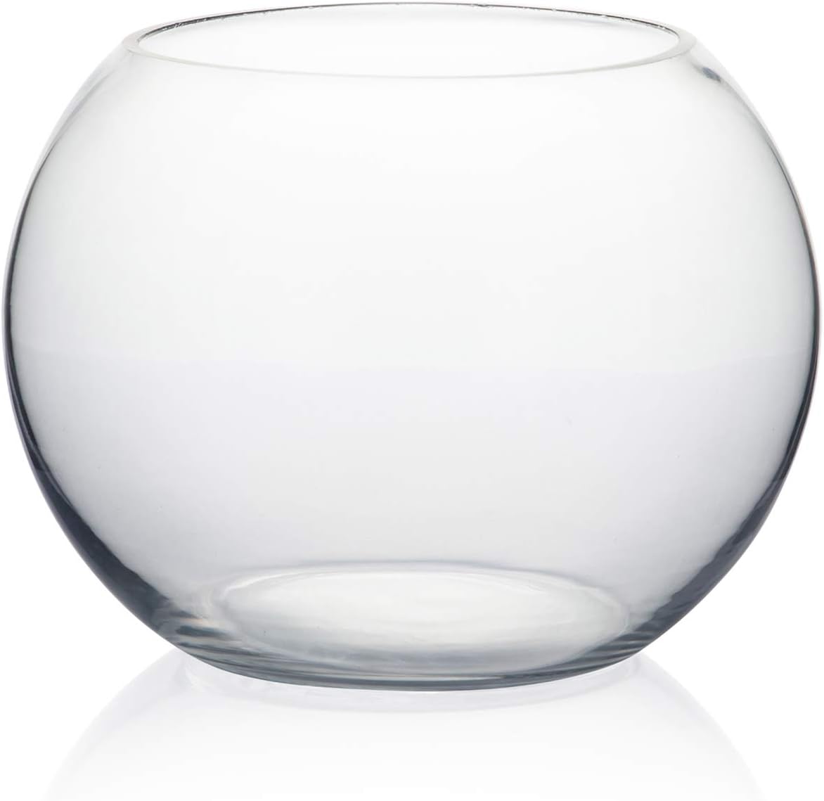 WGVI Glass Vase 8 Inch Clear Bubble Fish Bowl Terrarium