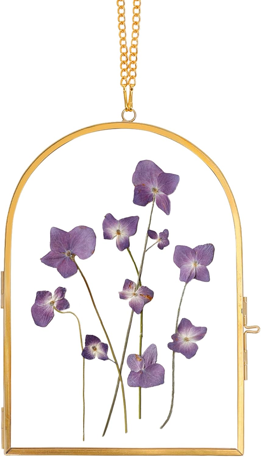 Redhugo Glass Pressed Flower Frame Wall Hanging