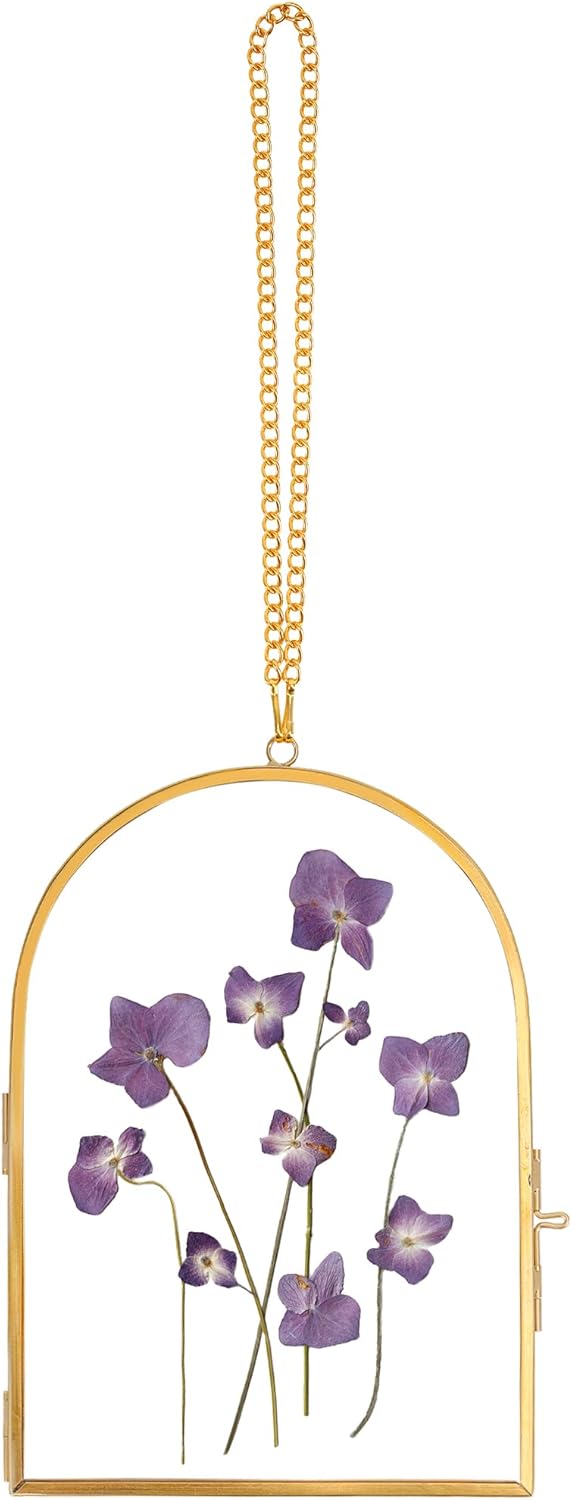 Redhugo Glass Pressed Flower Frame Wall Hanging