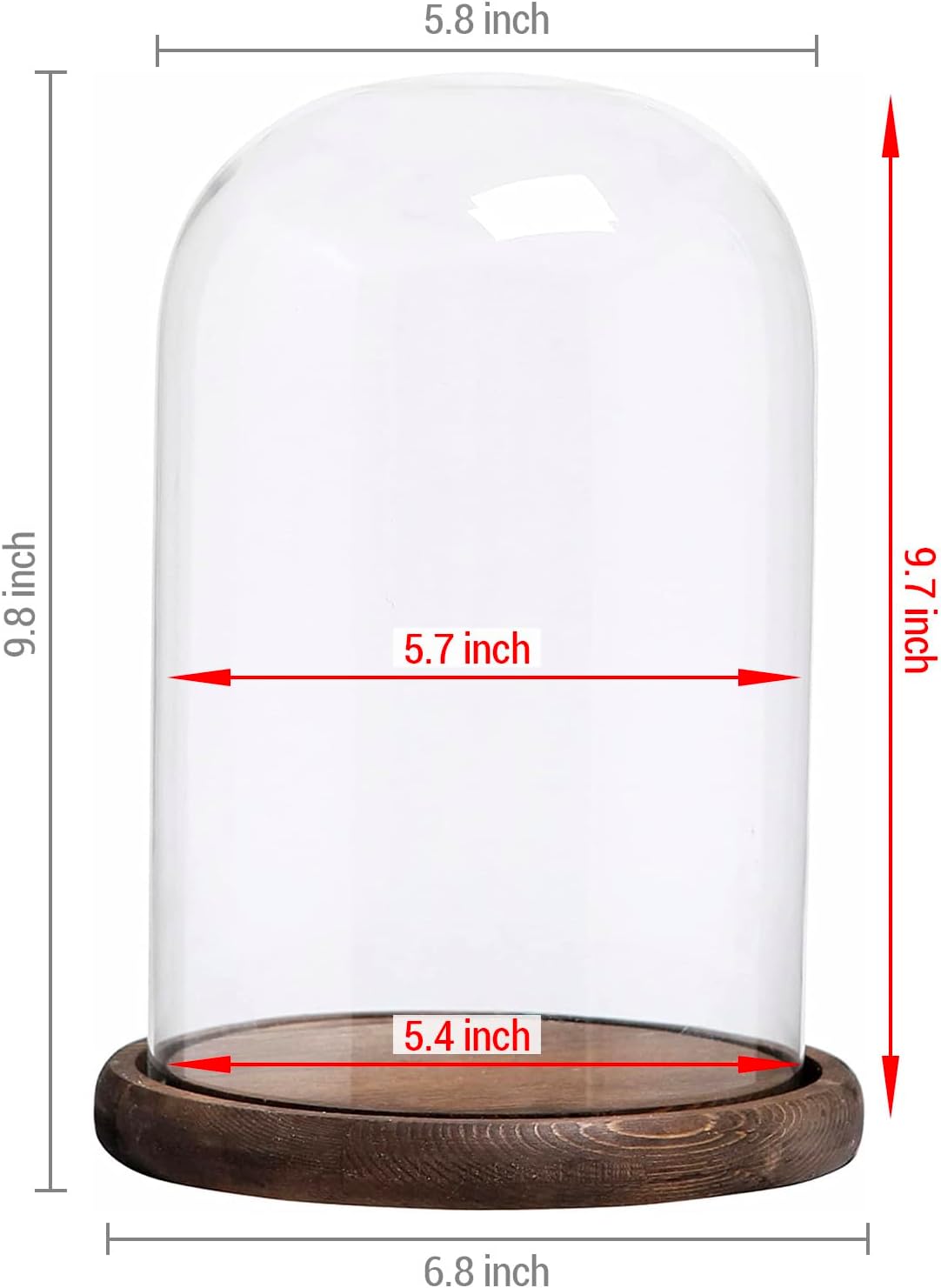 Bell Jar Glass Cloche with Rustic Wood Base 10 Inch Tall