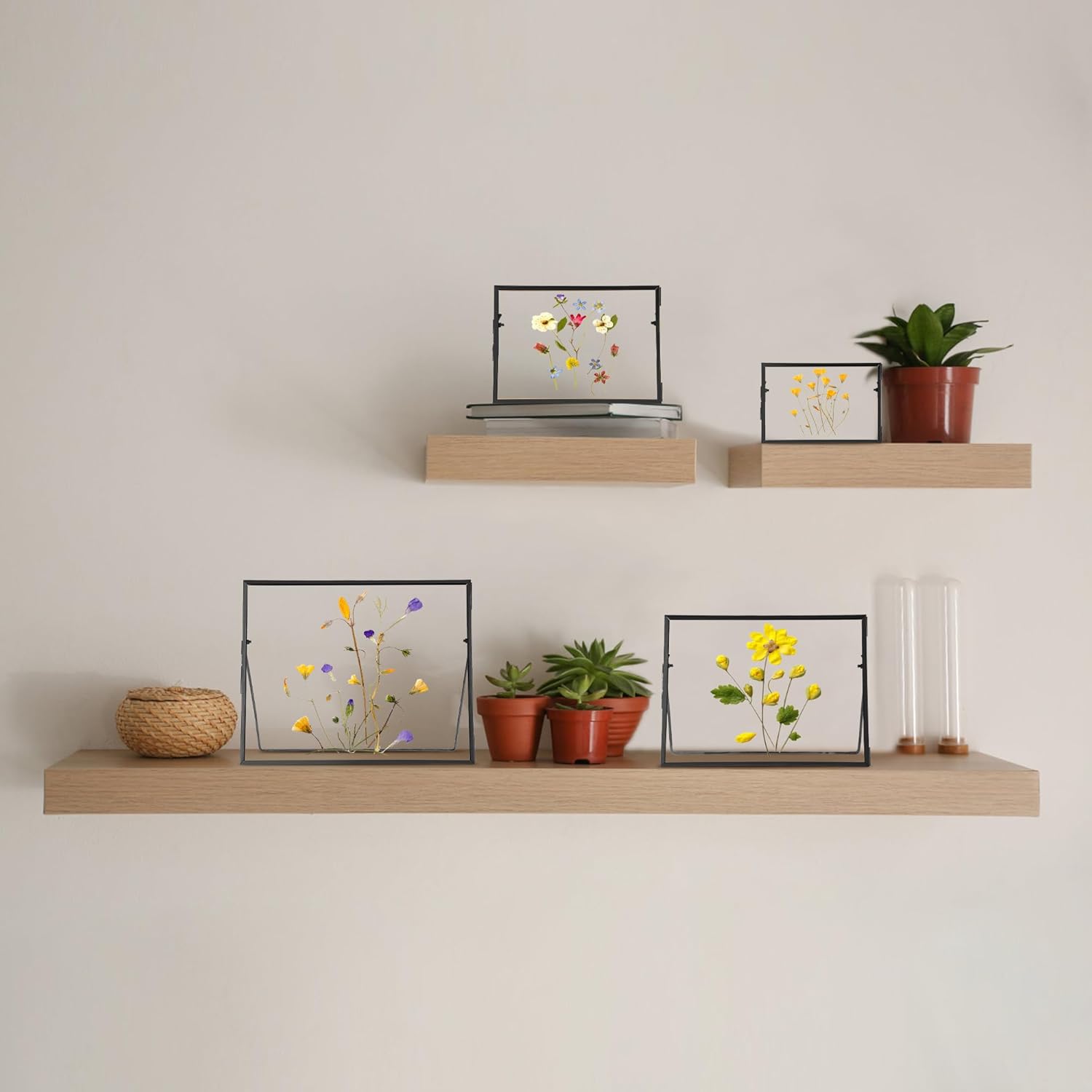 Handmade Brass Glass Frame for Dried Flowers and Photos