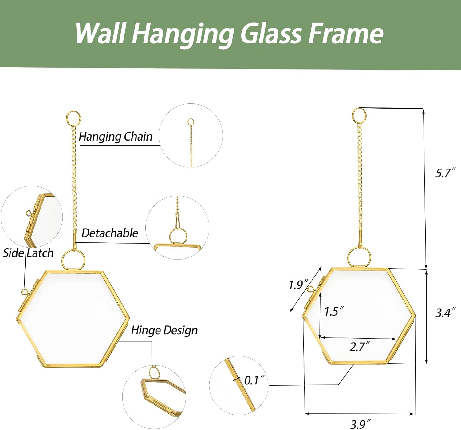 Mini Glass Floating Frame for Dried Flowers Gold Metal Wall Hanging Frame