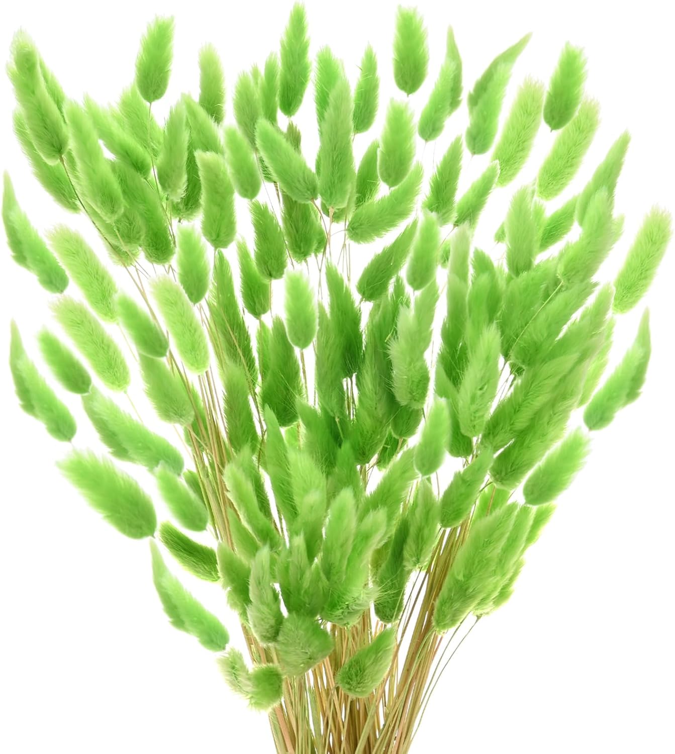 180-Pack Artificial Bunny Tail Grass Dried Flowers