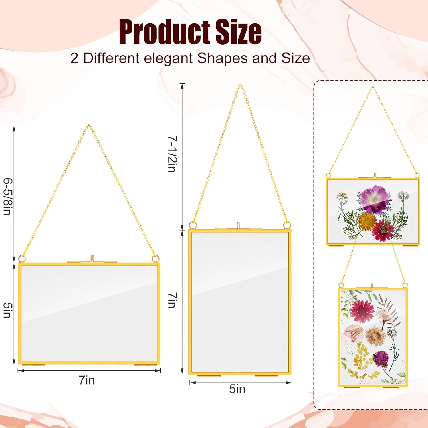 Barydat 12 Pack Pressed Flowers Glass Frames Gold Brass Hanging Display