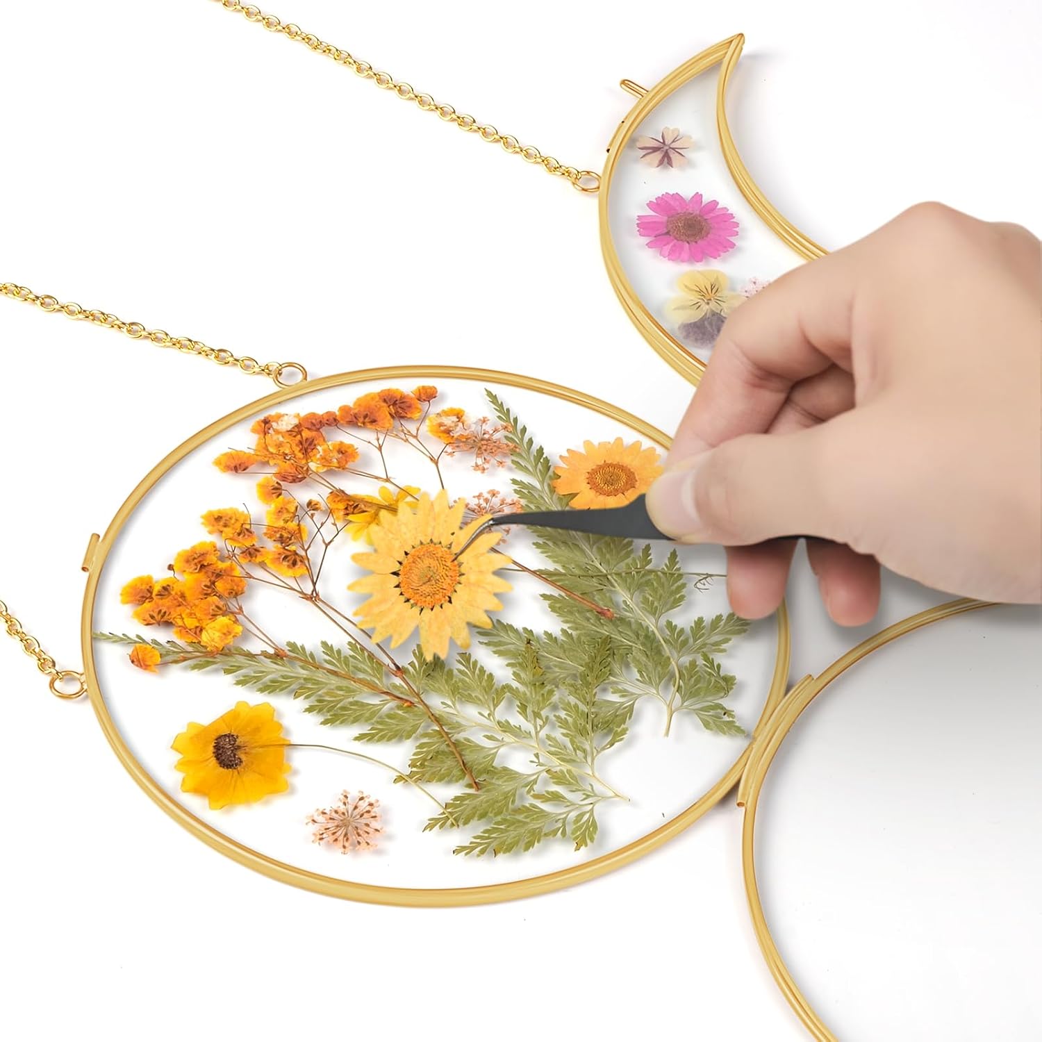 Double Glass Frame for Pressed Flowers with Real Dried Flowers and Tweezer