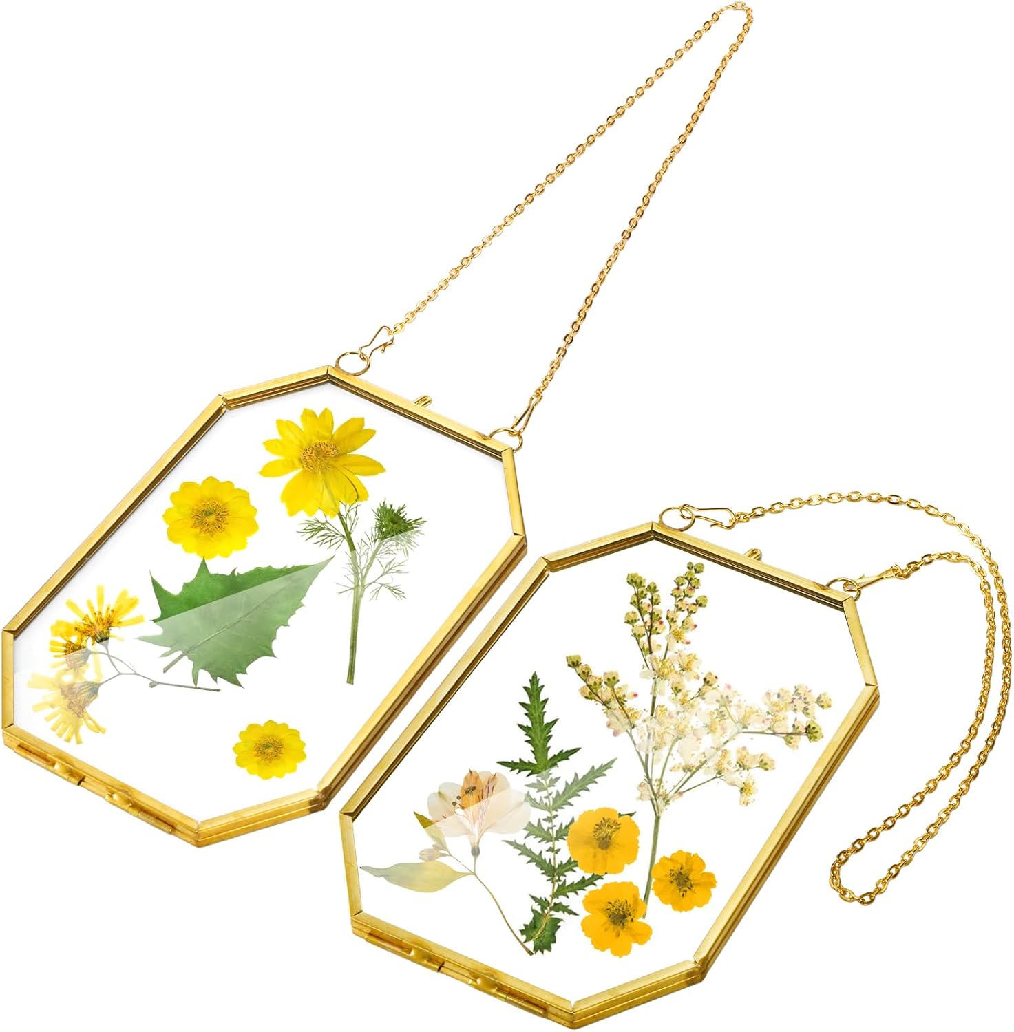 AVLA 3 Pack Pressed Flowers Glass Frames