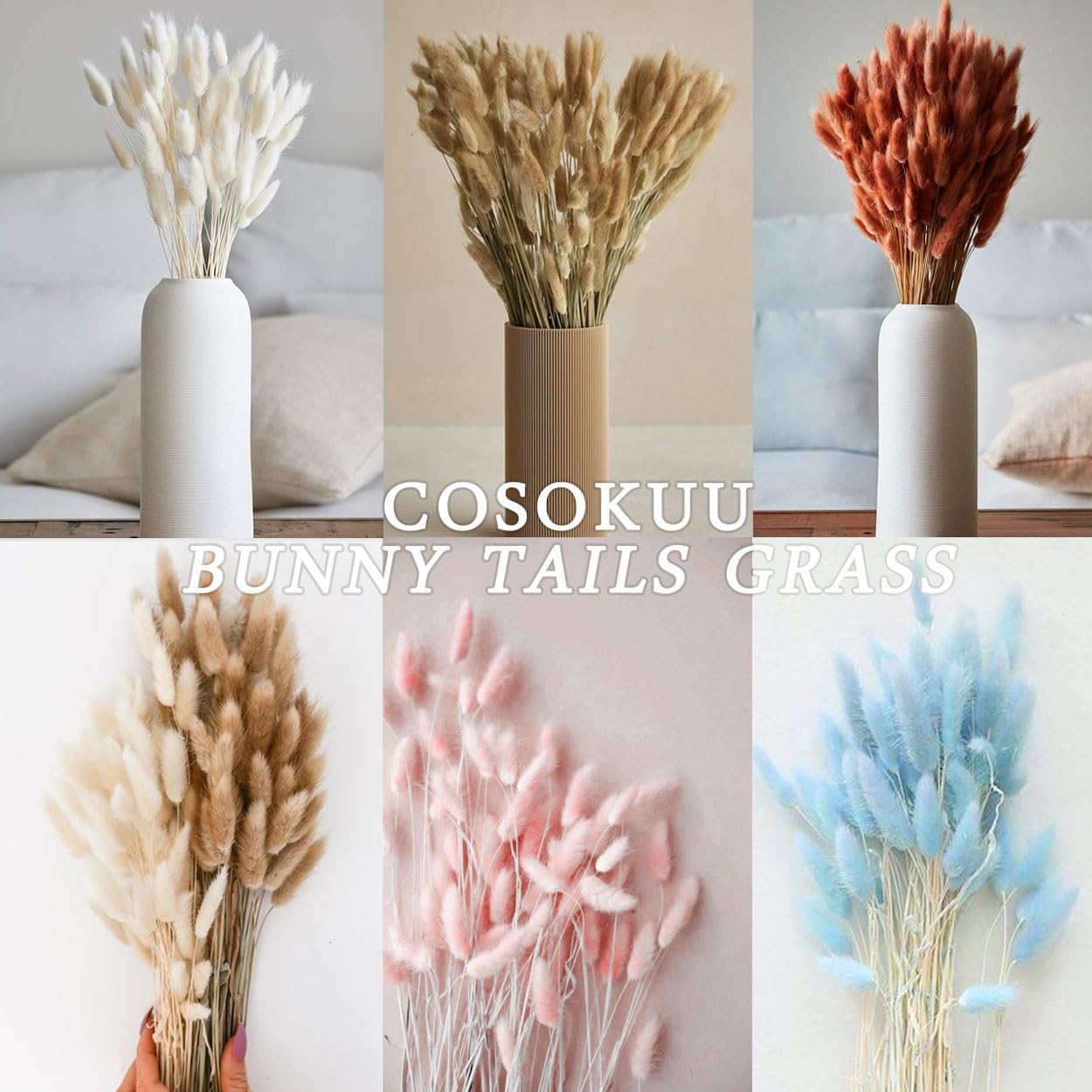 COSOKUU 100pcs Dried Bunny Tails Grass Decor