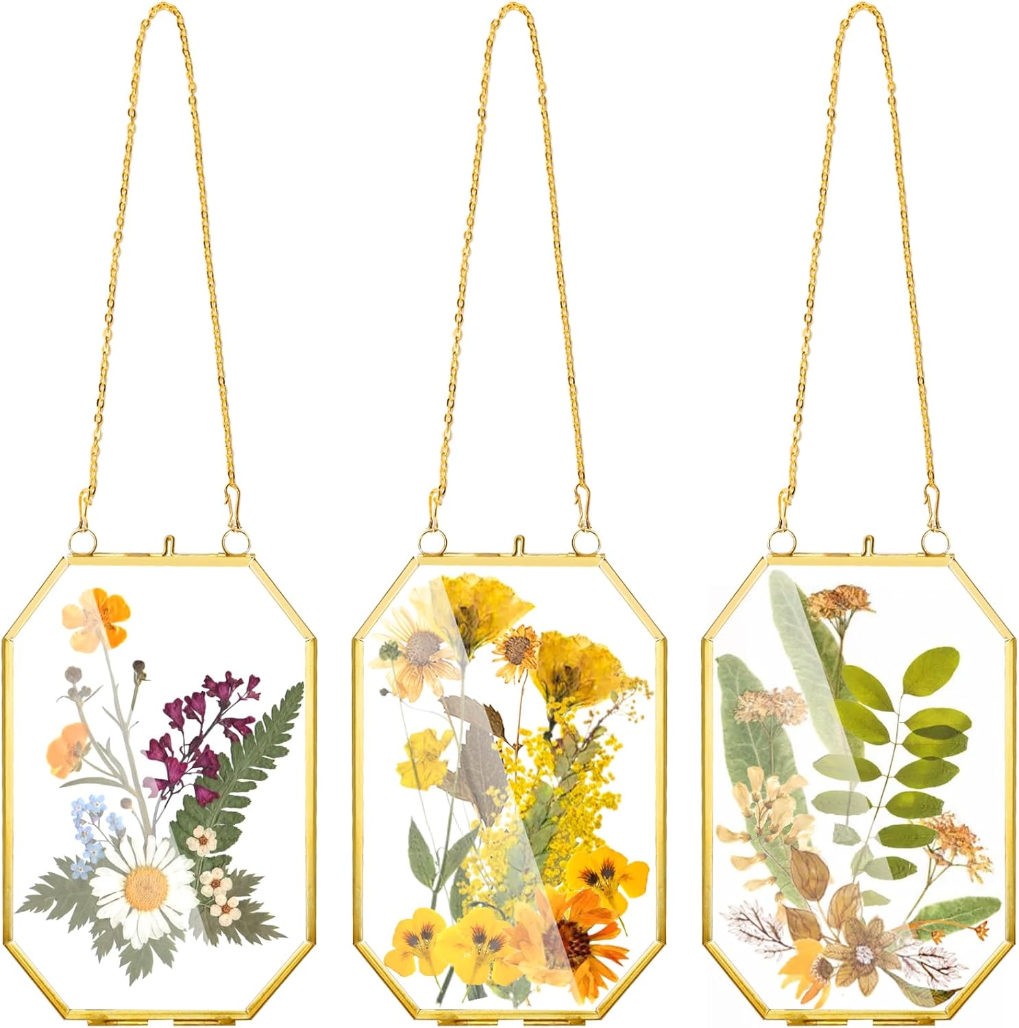 AVLA 3 Pack Pressed Flowers Glass Frames