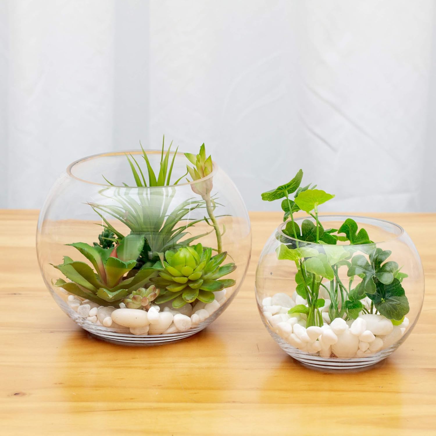 WGVI Glass Vase 8 Inch Clear Bubble Fish Bowl Terrarium