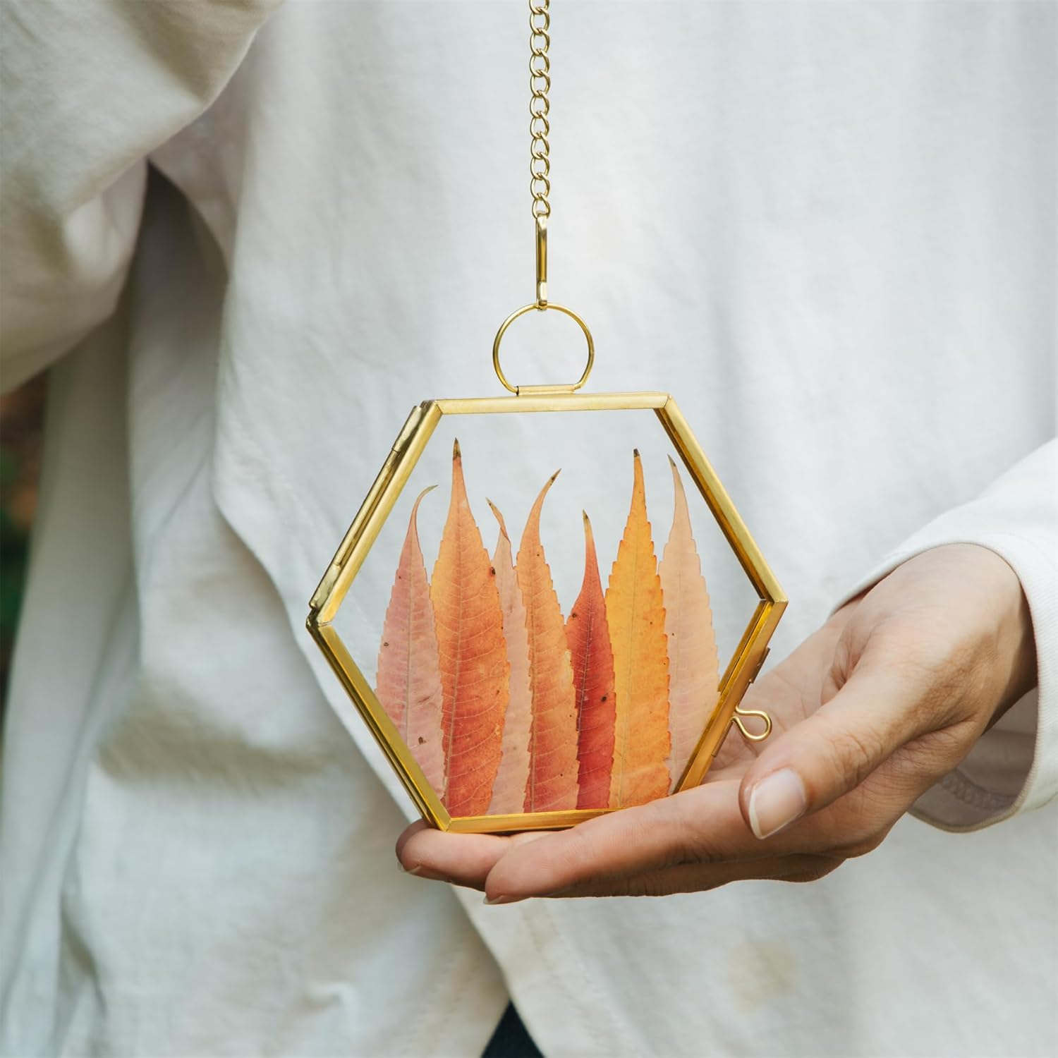 NCYP Mini Glass Floating Frame for Dried Flowers and Photos