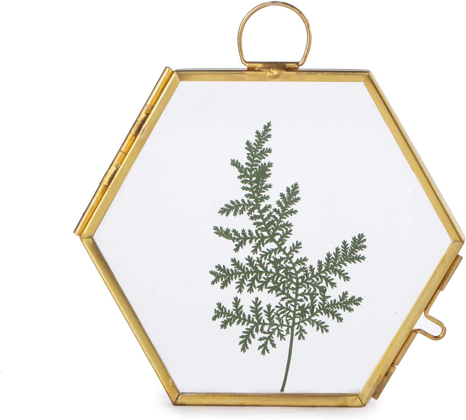 NCYP Mini Glass Floating Frame for Dried Flowers and Photos