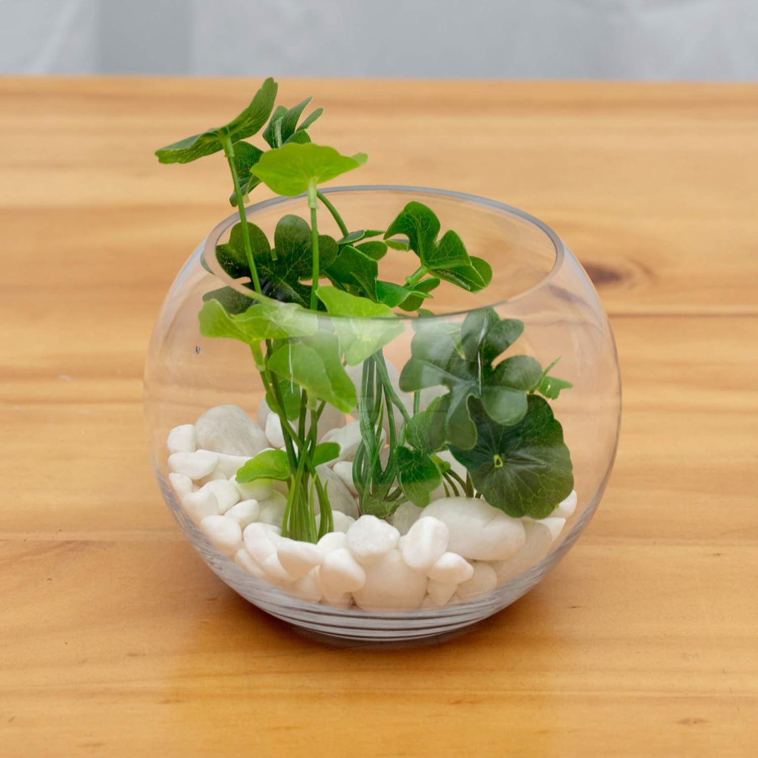 WGVI Glass Vase 8 Inch Clear Bubble Fish Bowl Terrarium