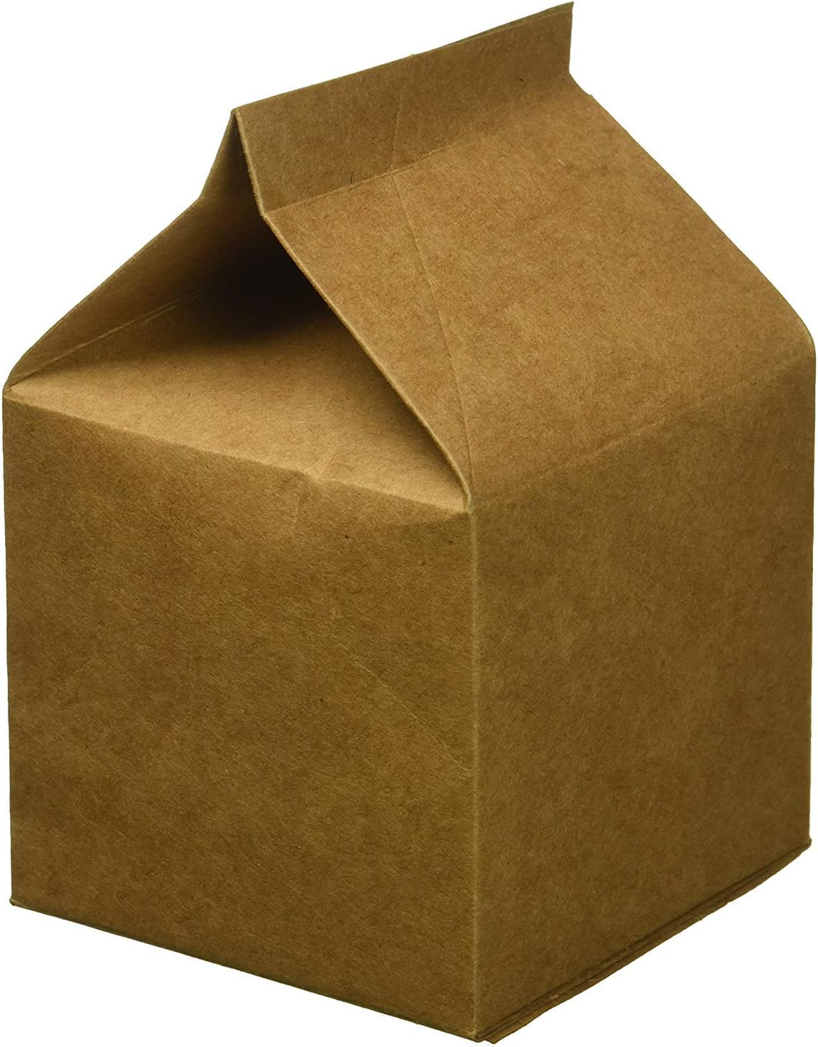 Darice 30027801 Kraft Party Favor Milk Cartons 24 Pack
