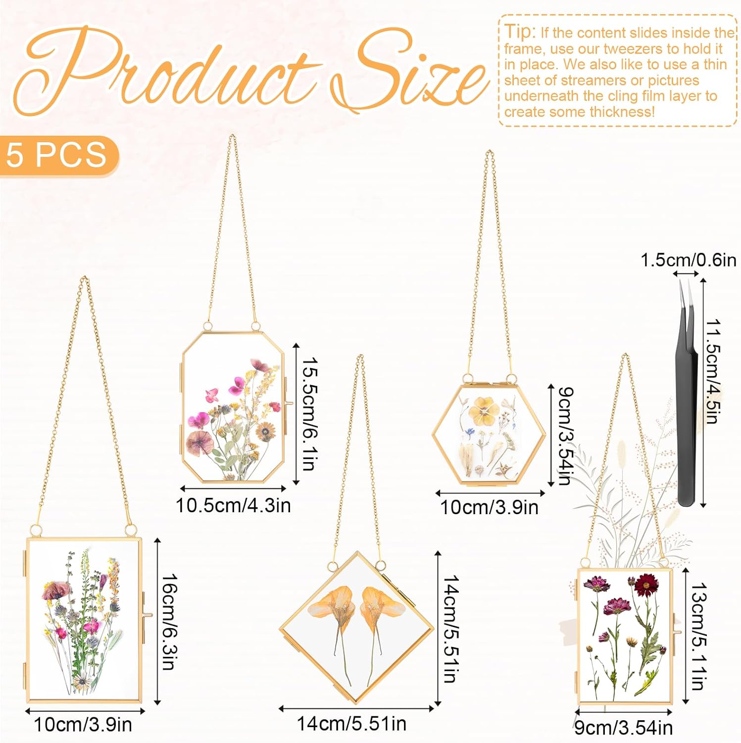 5 Pcs Double Glass Frame for Pressed Flowers with Gold Chain