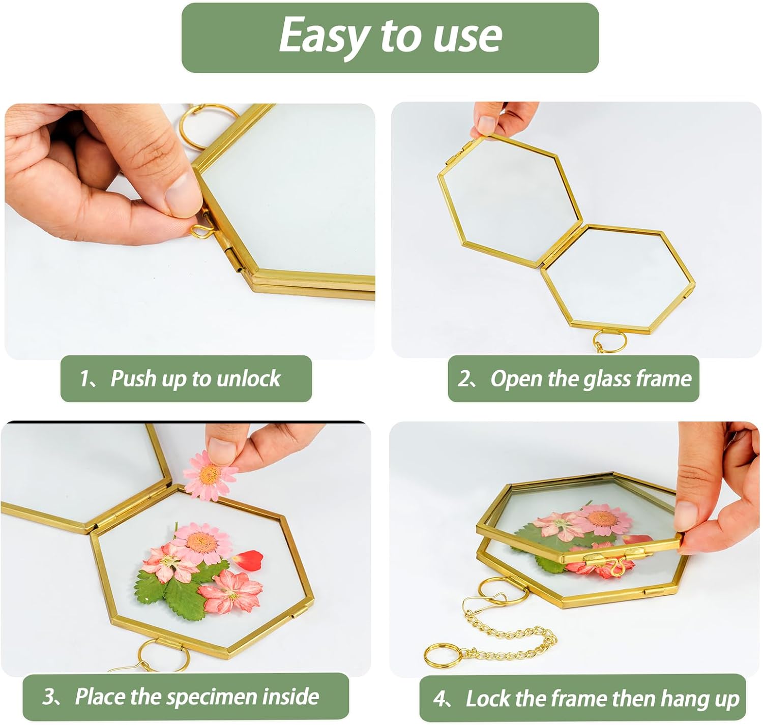 Mini Glass Floating Frame for Dried Flowers Gold Metal Wall Hanging Frame