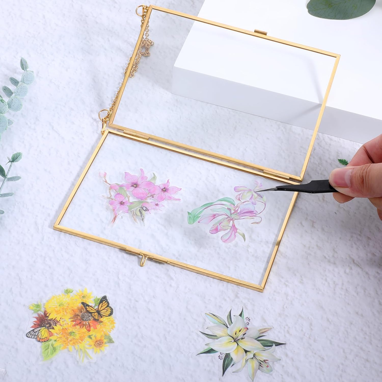 5 Pcs Double Glass Frame for Pressed Flowers with Gold Chain