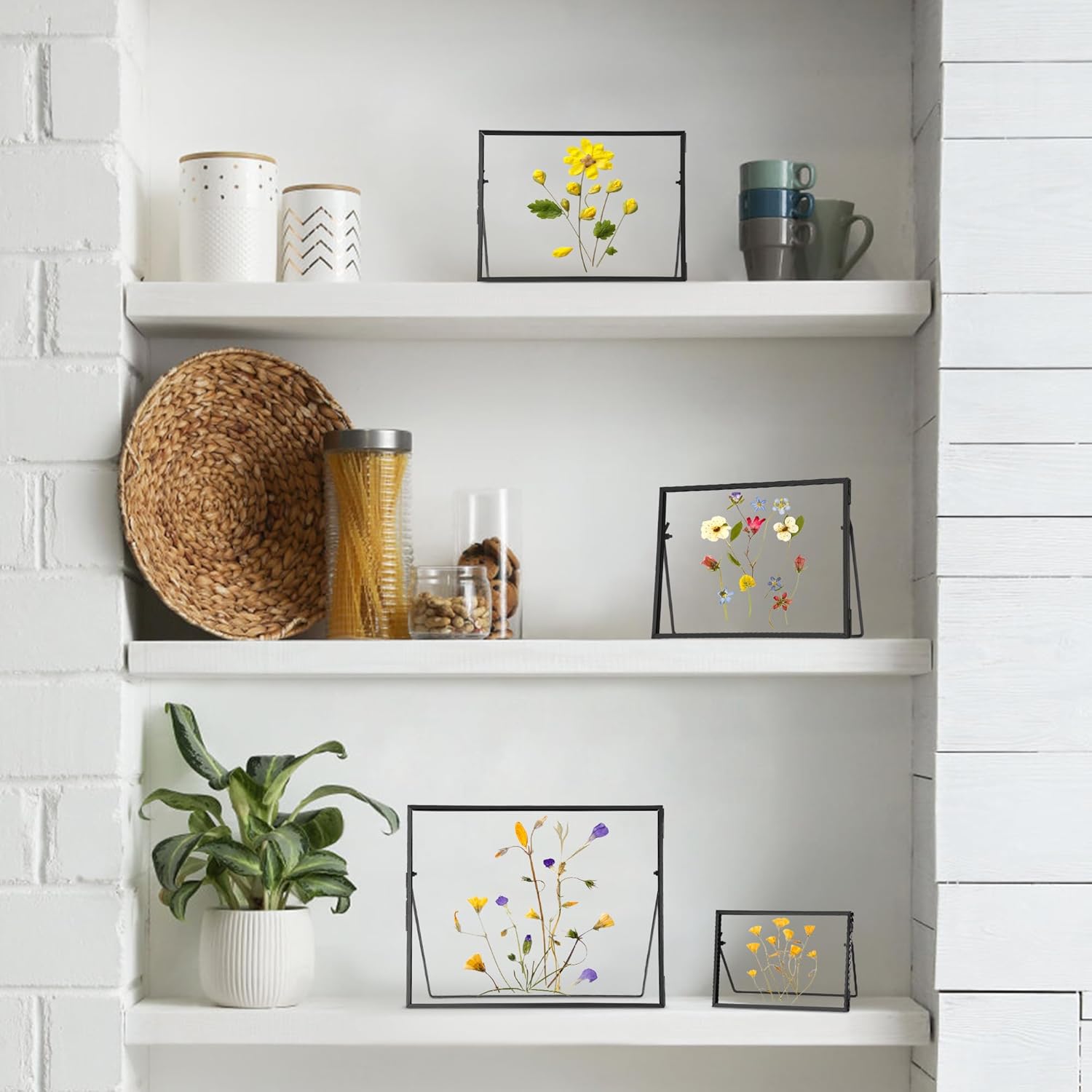 Handmade Brass Glass Frame for Dried Flowers and Photos