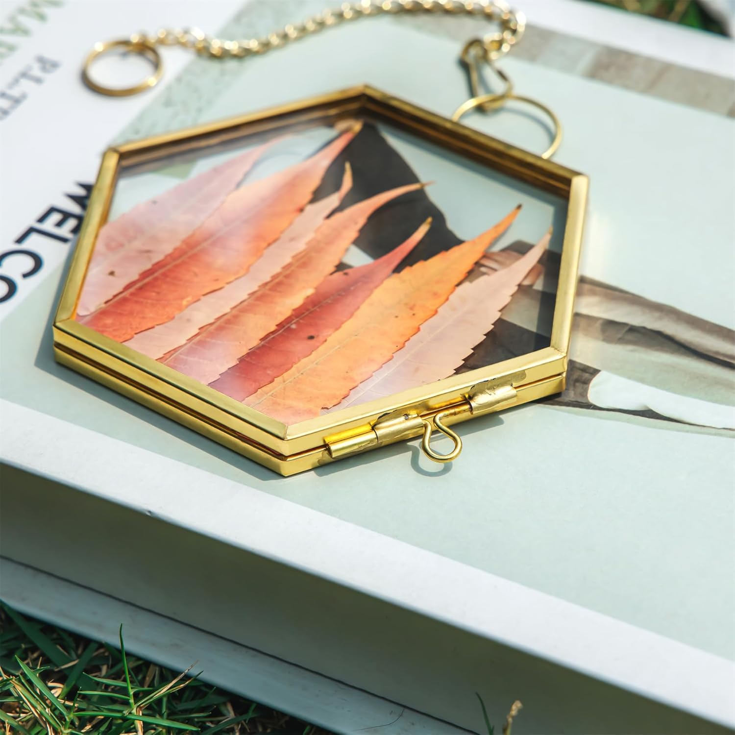 NCYP Mini Glass Floating Frame for Dried Flowers and Photos