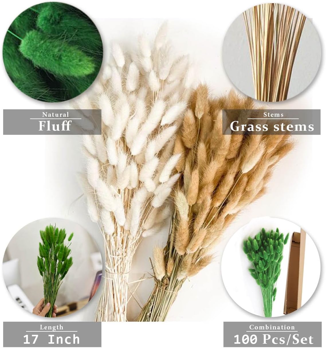 COSOKUU 100pcs Dried Bunny Tails Grass Decor