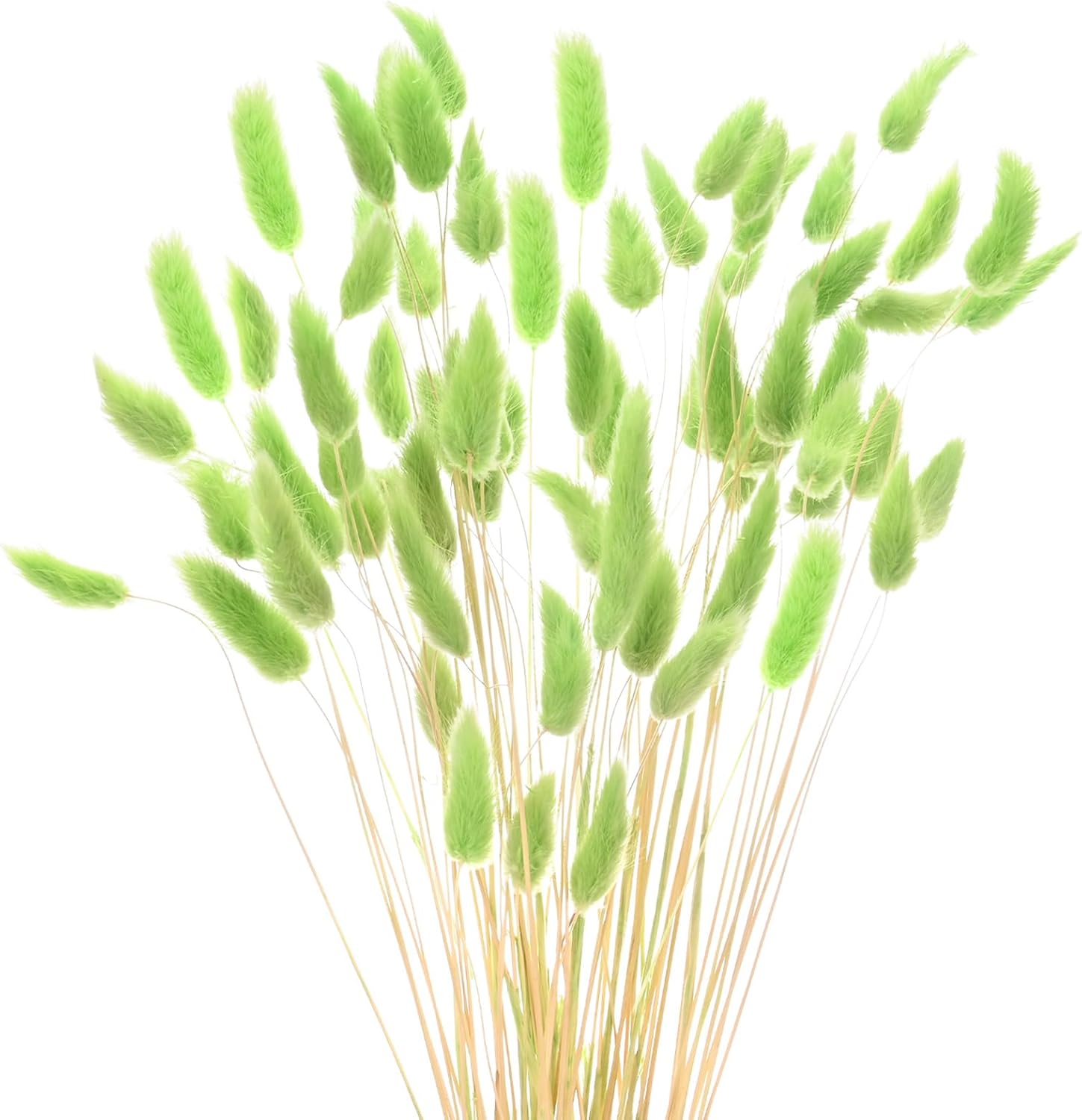 60-Pack Artificial Rabbit Tail Grass Dried Flowers 17 Inch Green