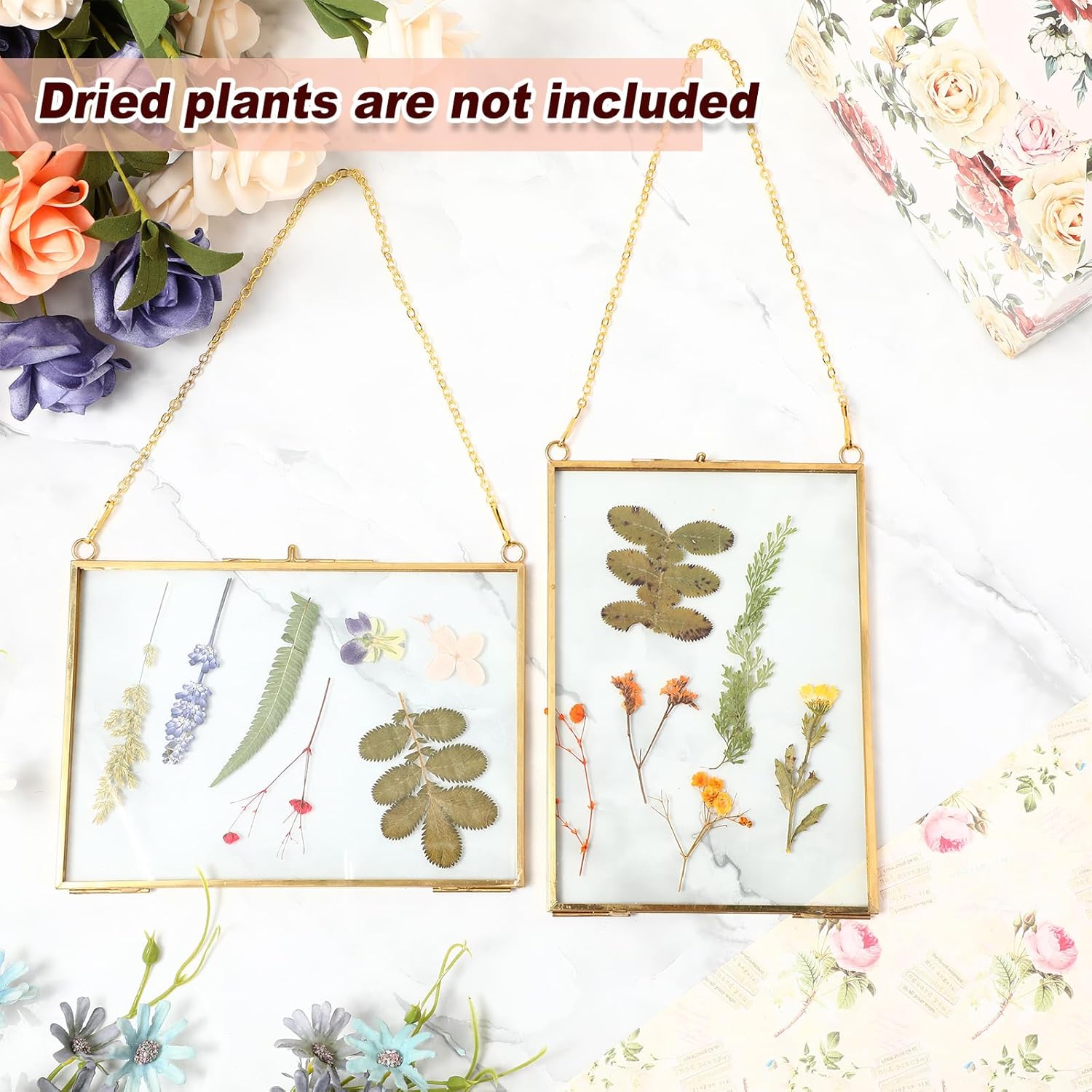 Barydat 12 Pack Pressed Flowers Glass Frames Gold Brass Hanging Display