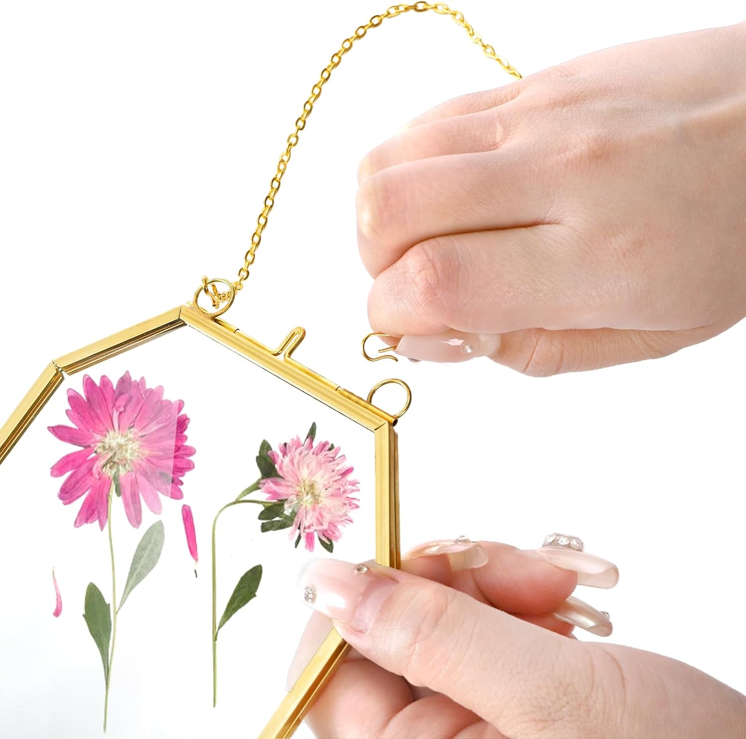 AVLA 3 Pack Pressed Flowers Glass Frames