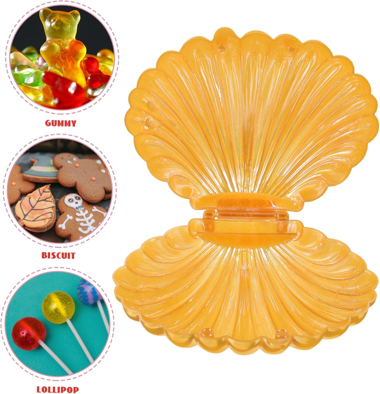 Shell Shape Candy Packaging Containers 10pcs Wedding Favors