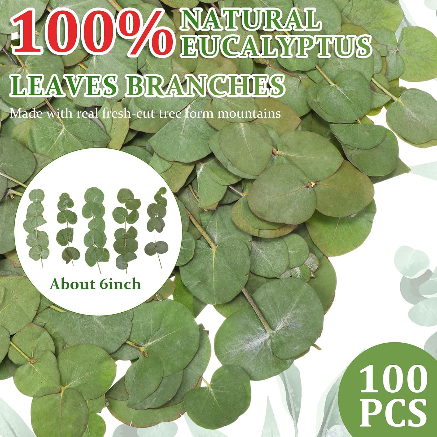 100 Pcs Natural Dried Eucalyptus Stems for Vase Fillers and DIY Crafts