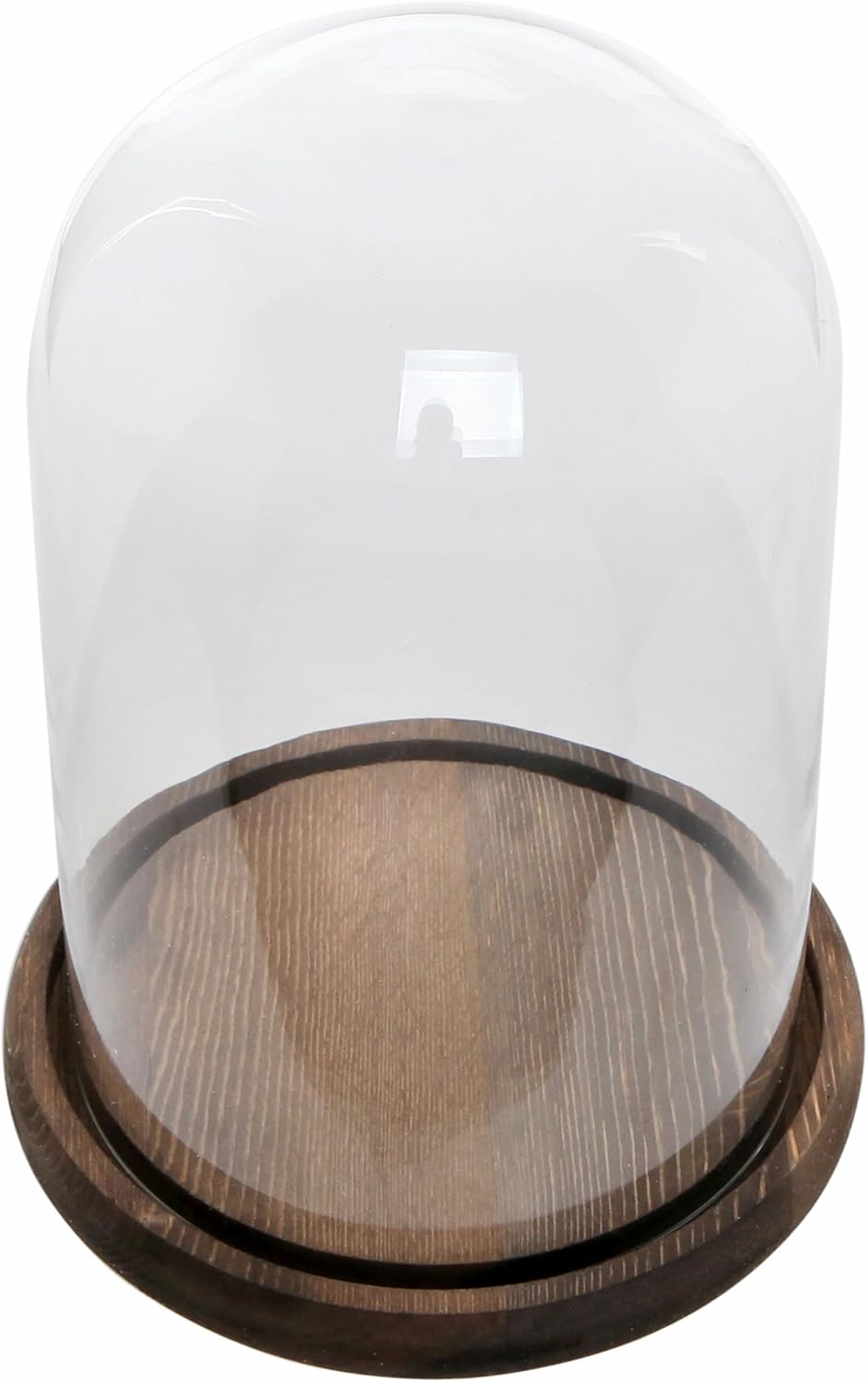 Bell Jar Glass Cloche with Rustic Wood Base 10 Inch Tall