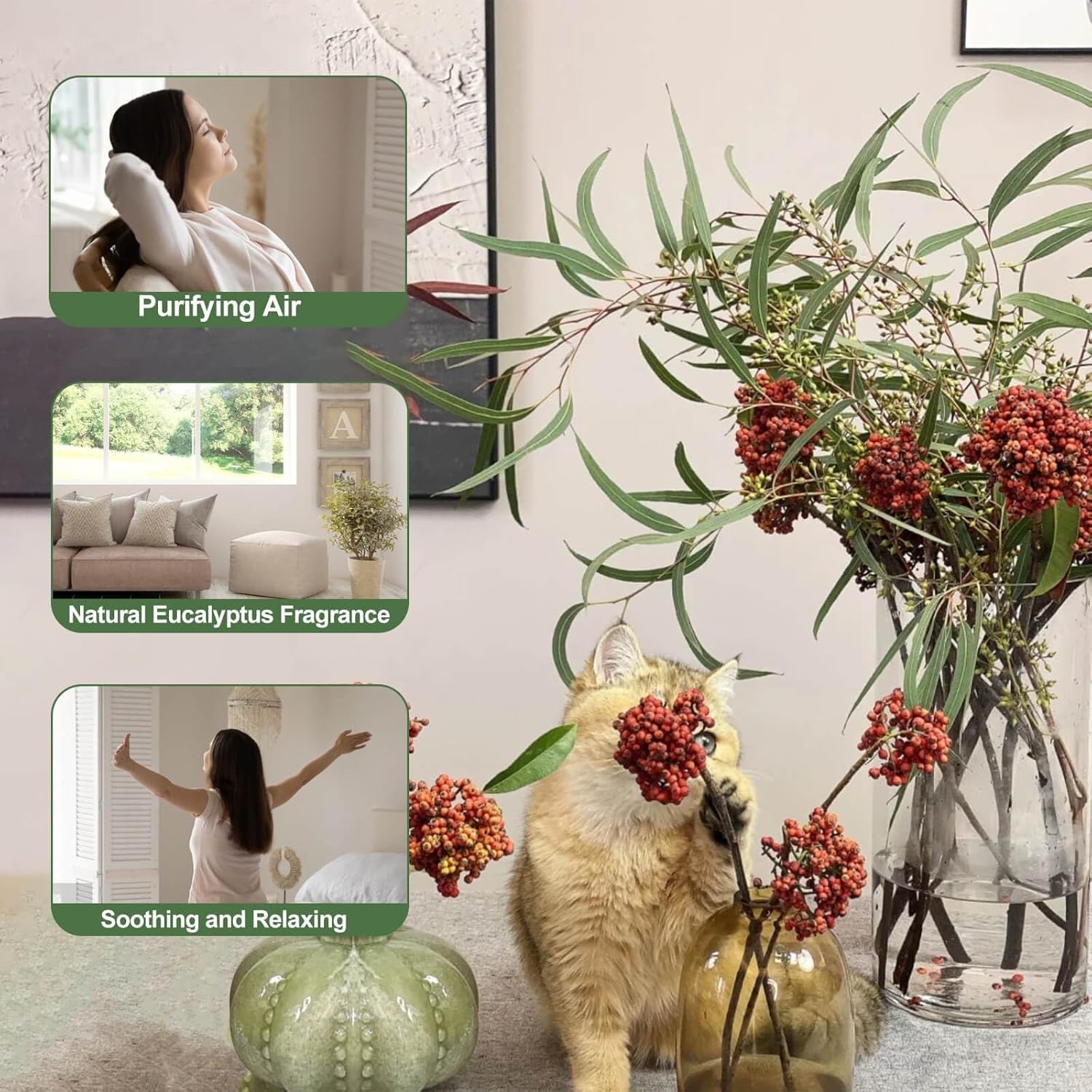 30 Pcs Natural Dried Seeded Eucalyptus Stems for Decor