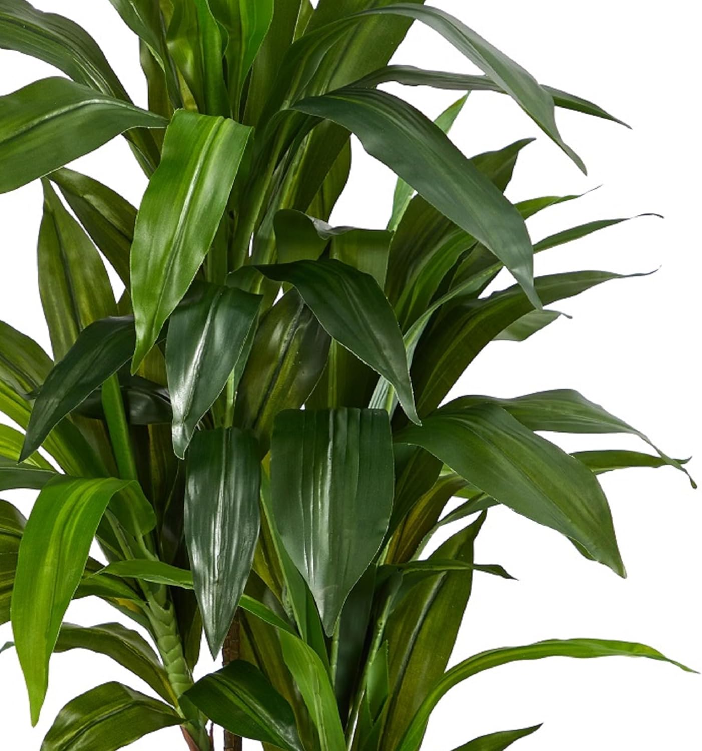 Nearly Natural 48in Dracaena Silk Plant Real Touch Green